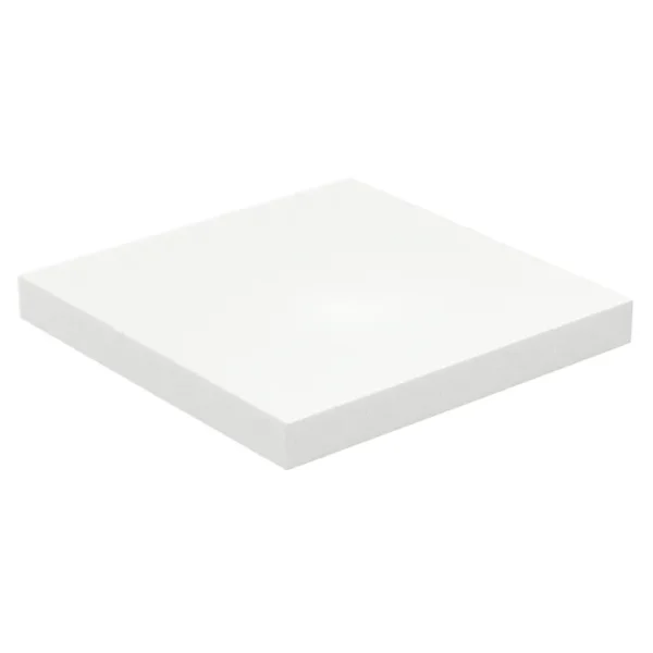 Ever-Soft Foam Cushion - 20 X 16 X 2in - Image 3